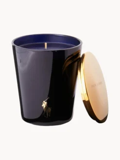Candela profumata St. Germain (bergamotto affumicato, cuoio, spezie fragranti, ambra, legno)