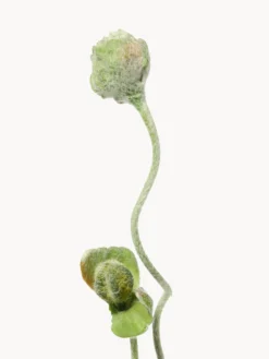 Fiore artificiale Poppy Bud