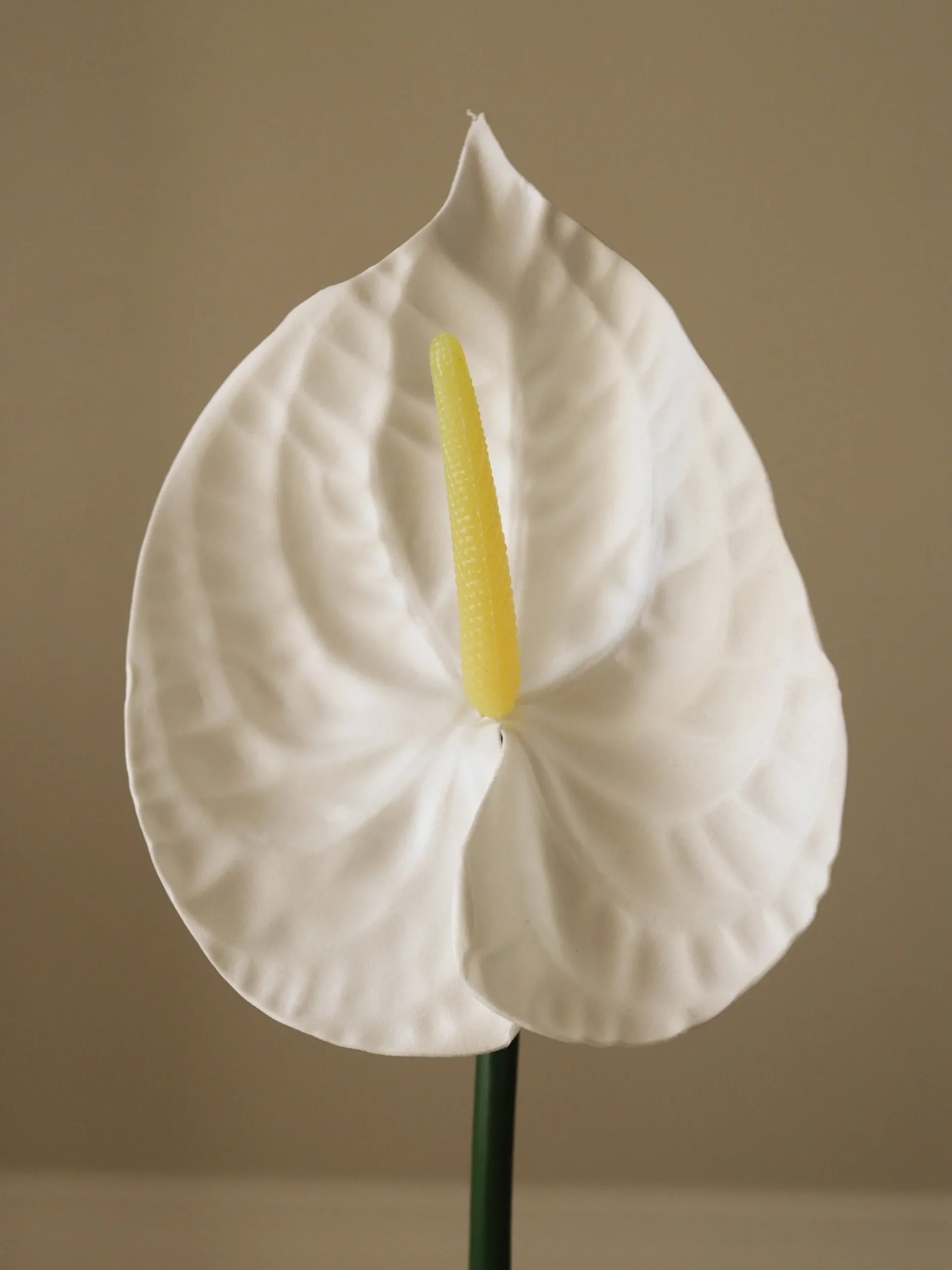 Fiore artificiale Small Anthurium