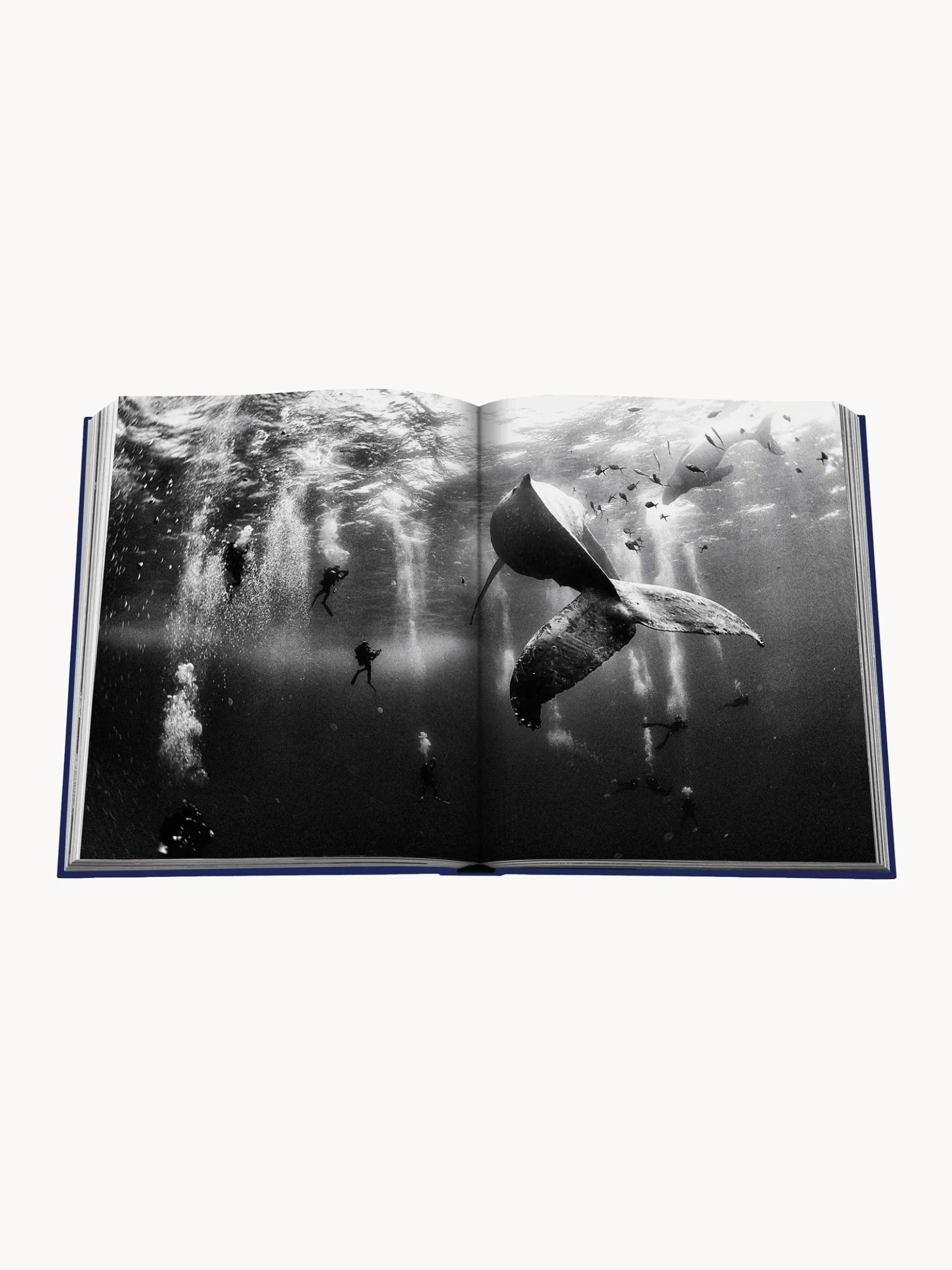 Libro da tavolino Ocean Wanderlust