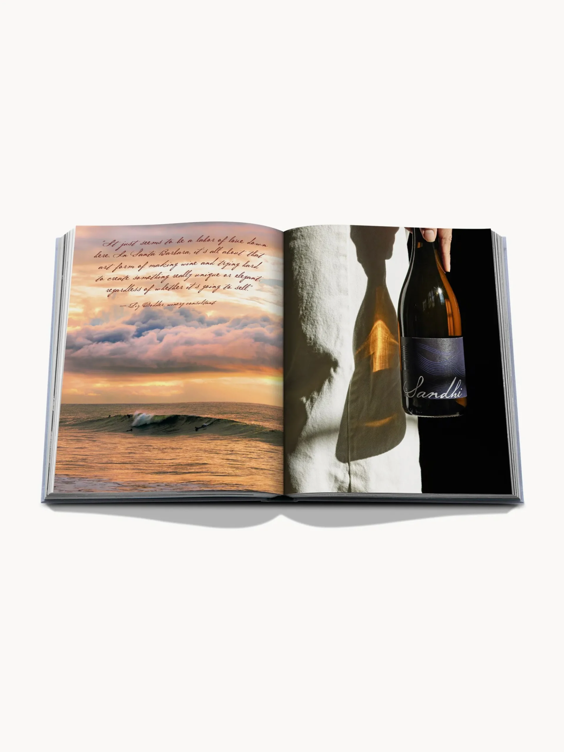 Libro da tavolino Wine & Travel USA