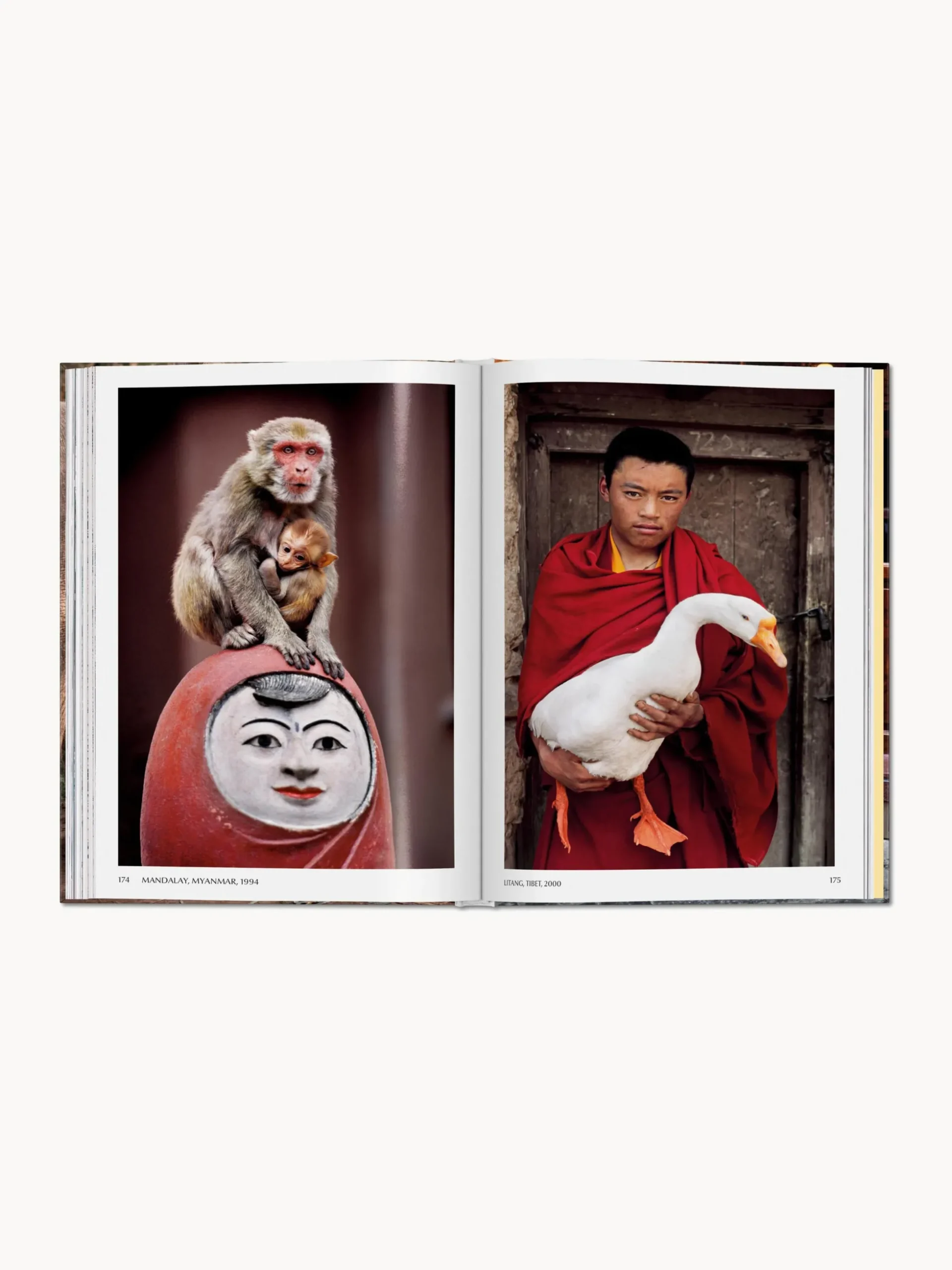 Libro illustrato Steve McCurry. Animals