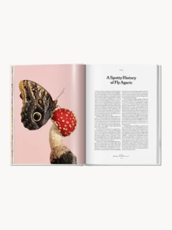 Libro illustrato The Gourmand Mushroom