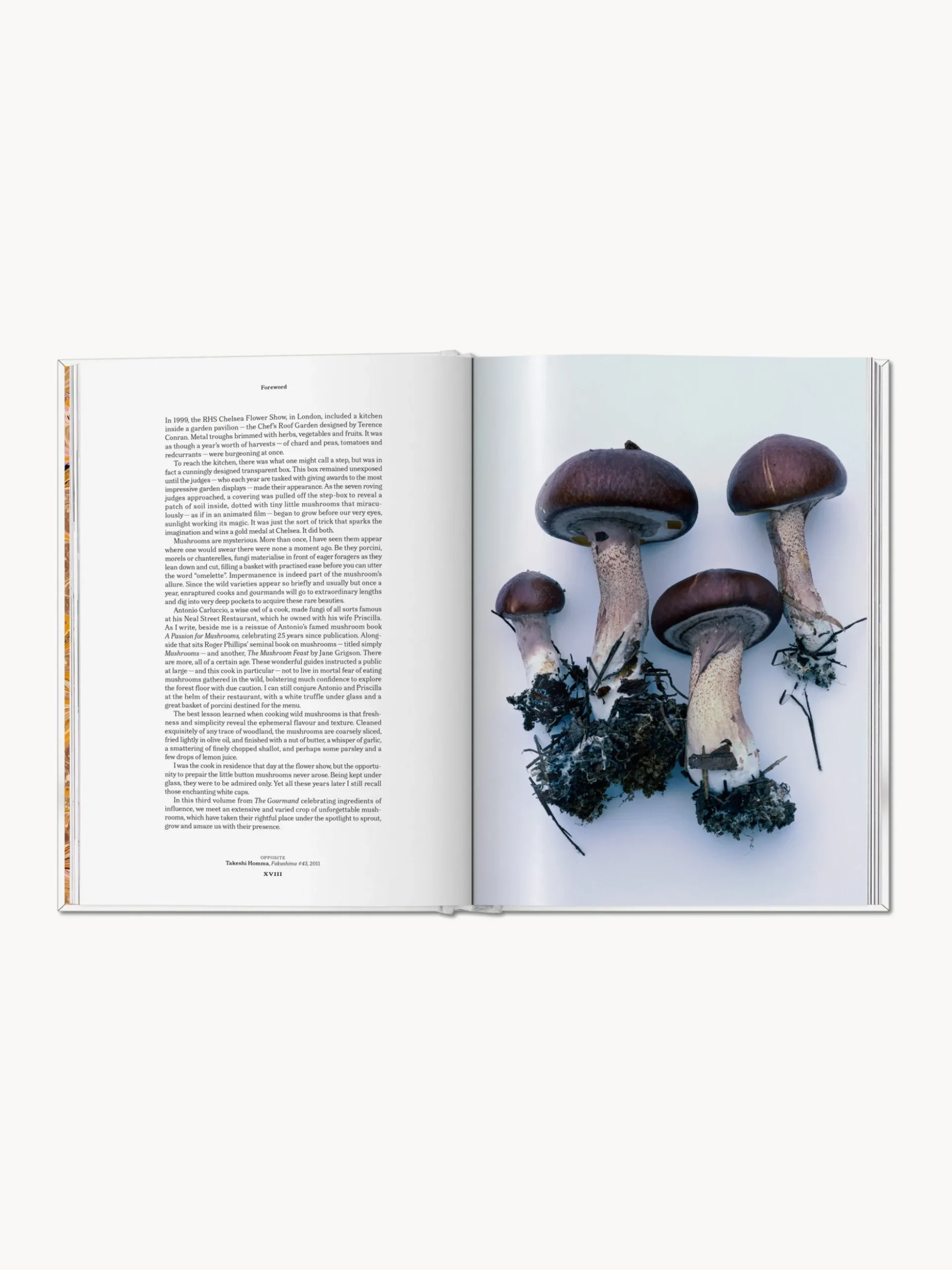 Libro illustrato The Gourmand Mushroom