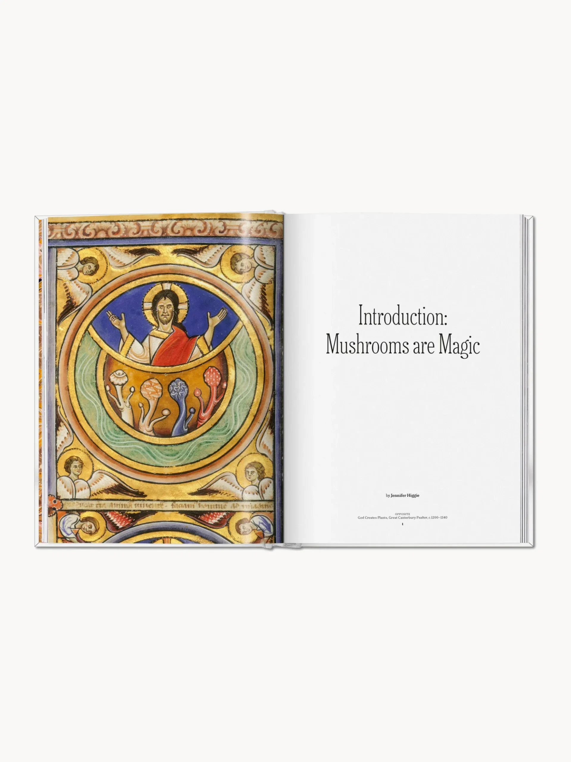 Libro illustrato The Gourmand Mushroom