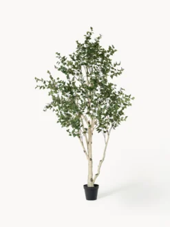 Pianta artificiale Birch Tree Green