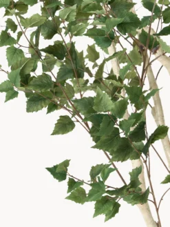 Pianta artificiale Birch Tree Green