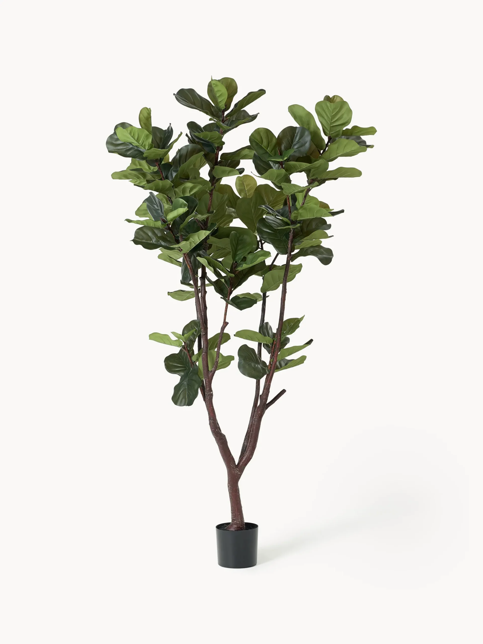 Pianta artificiale Fiddle Leaf Fig