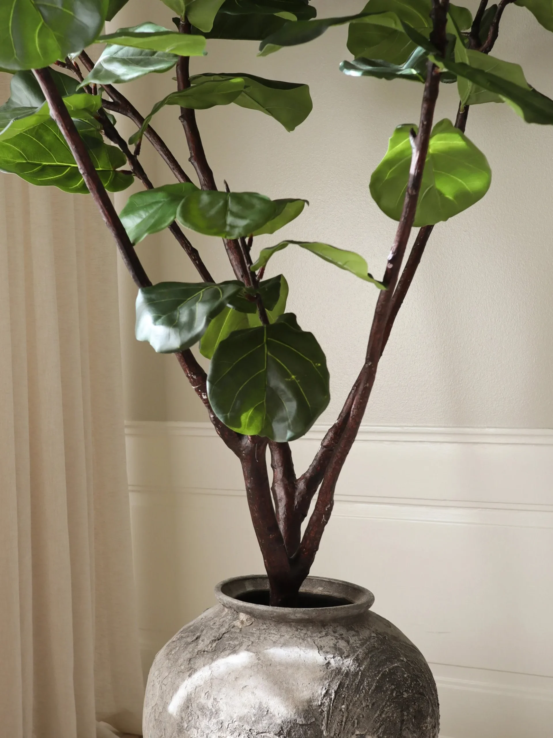 Pianta artificiale Fiddle Leaf Fig