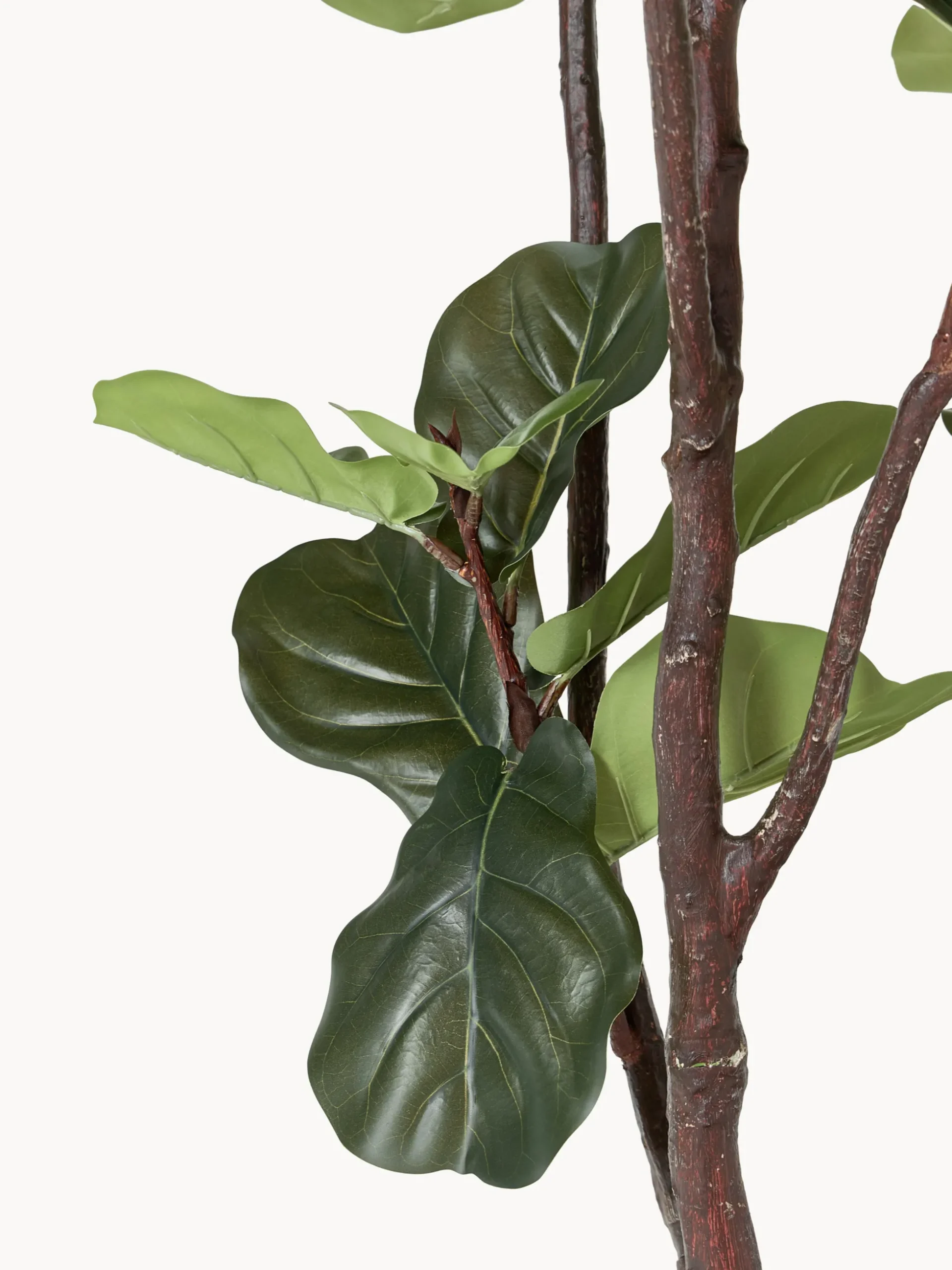 Pianta artificiale Fiddle Leaf Fig