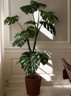Pianta artificiale Monstera