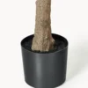 Pianta artificiale Olive Tree