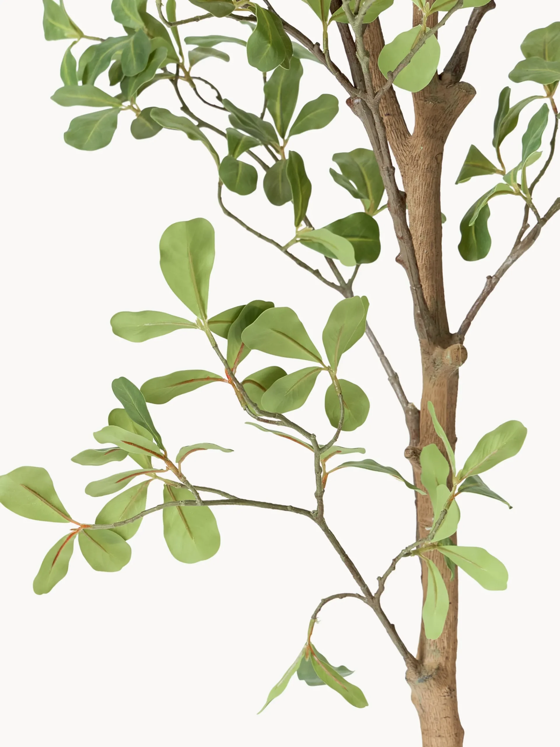 Pianta artificiale Tropical Almond