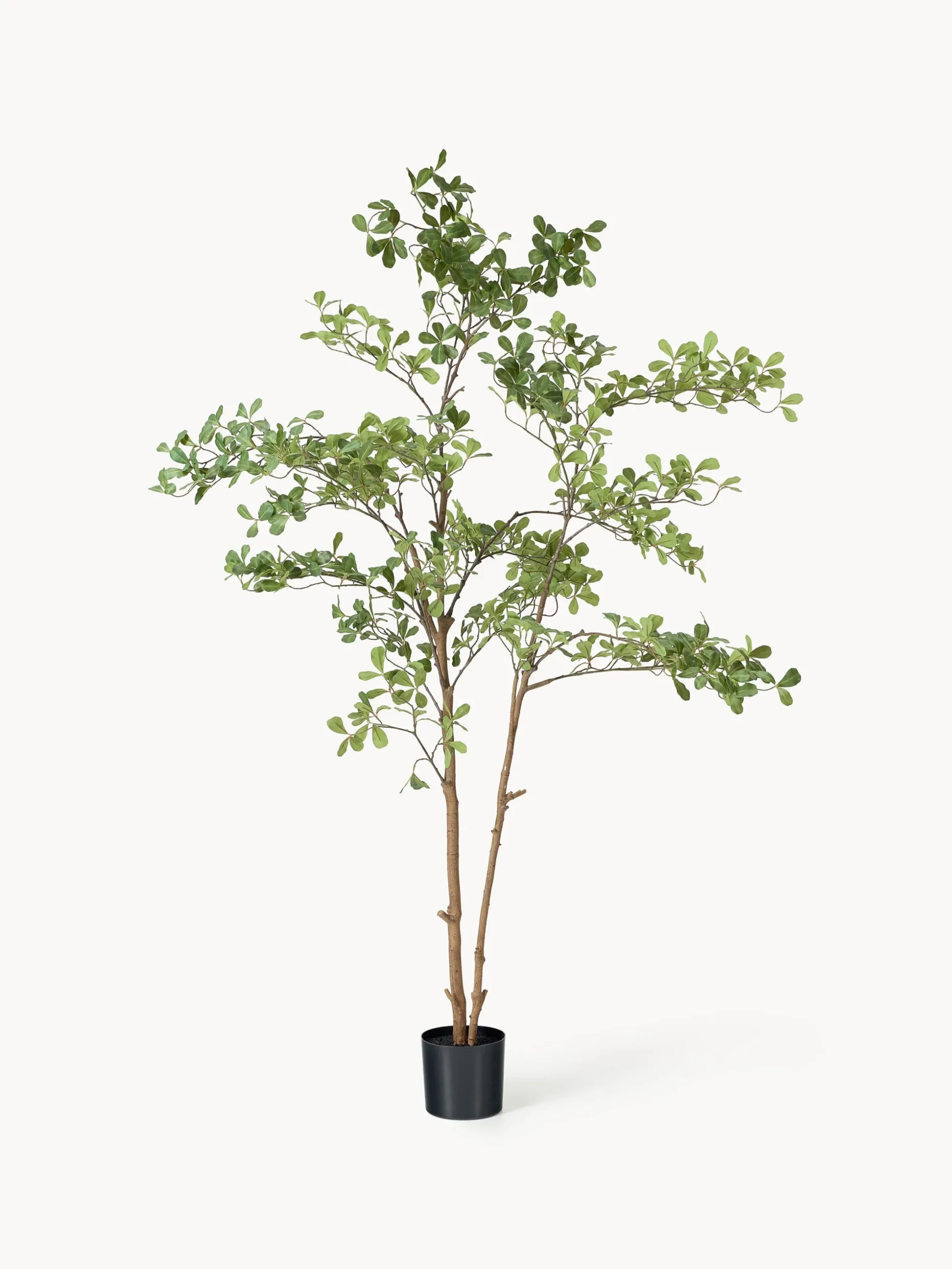 Pianta artificiale Tropical Almond