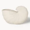 Vaso per fiori a forma di conchiglia Shell